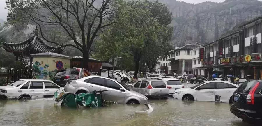 速看！“风王”侵袭，车牌丢失，怎么办？这样就行……