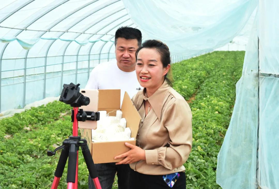 黑柳子白梨脆甜瓜直播,黑柳白梨脆