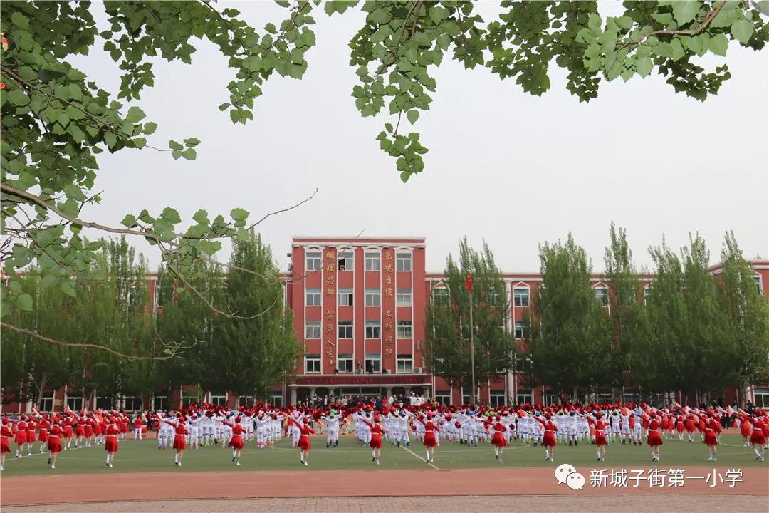 辽宁省小学体育比赛,辽宁省优质课大赛名单