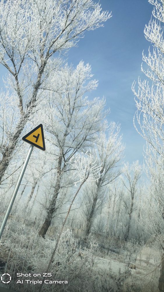 这才是东北该有的味道,这才是东北农村该有的样子
