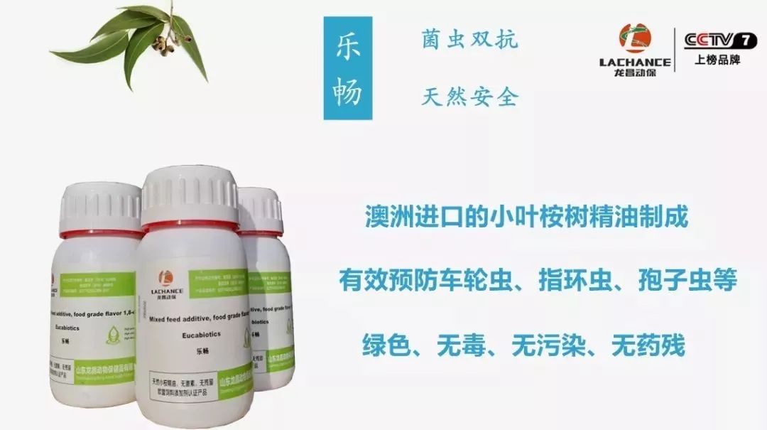 大菱鲆鱼养殖优缺点,大菱鲆处理方法