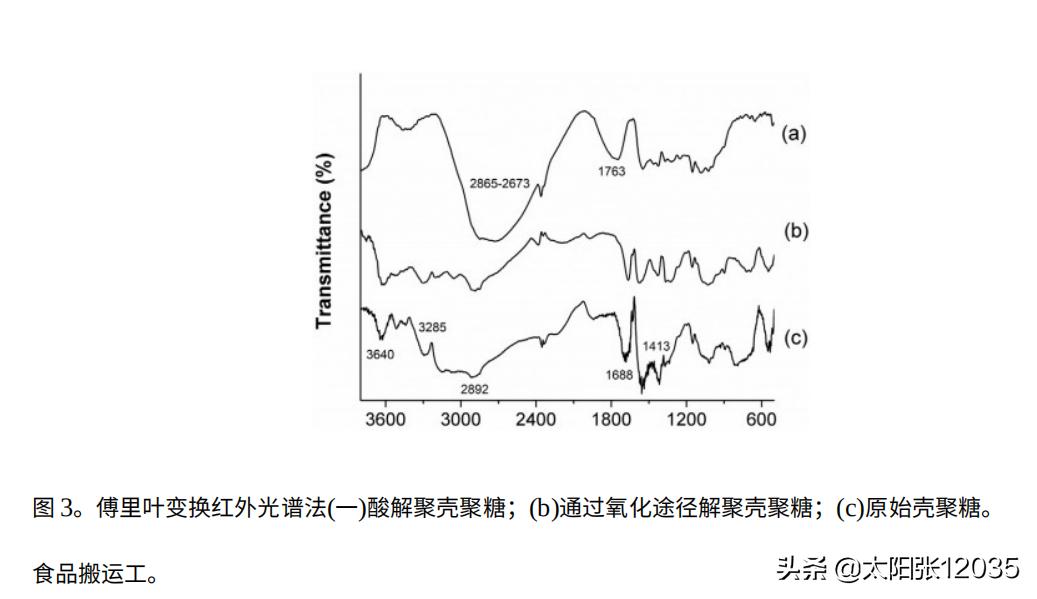 低分子壳寡糖溶于水吗,低密度壳聚糖
