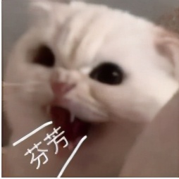 荒谬的不止HM，还有把棉花当风口的人