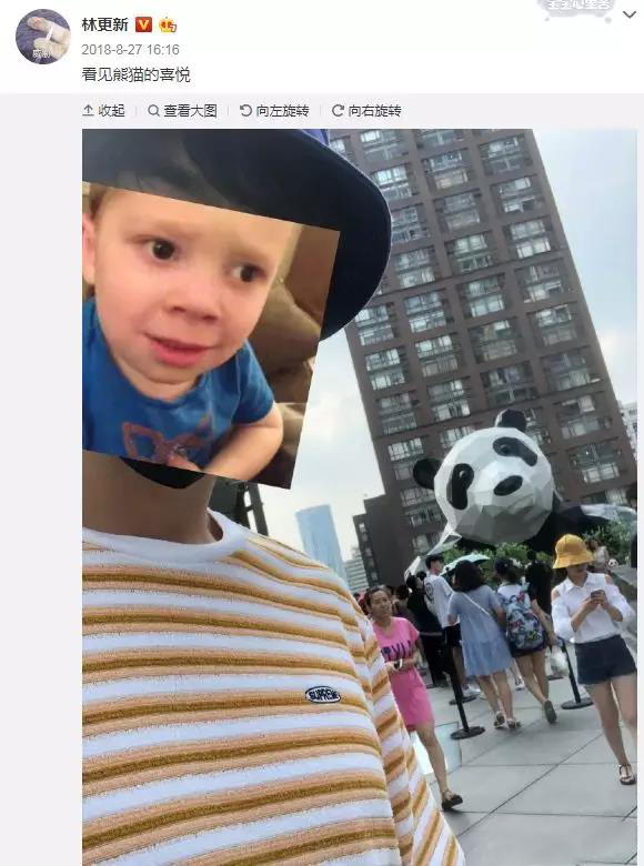 林更新配图闭嘴吧狗,林更新赵丽颖采访闭嘴