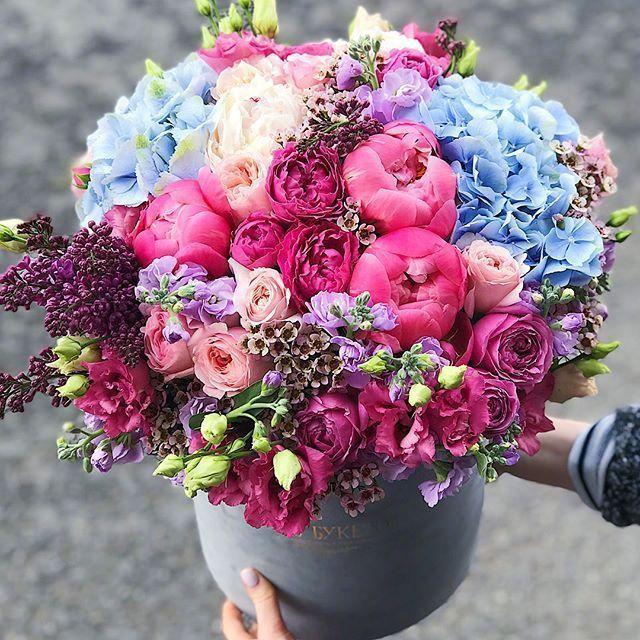 情人节情话最暖心撩人,情人节贺卡情话短句干净撩人