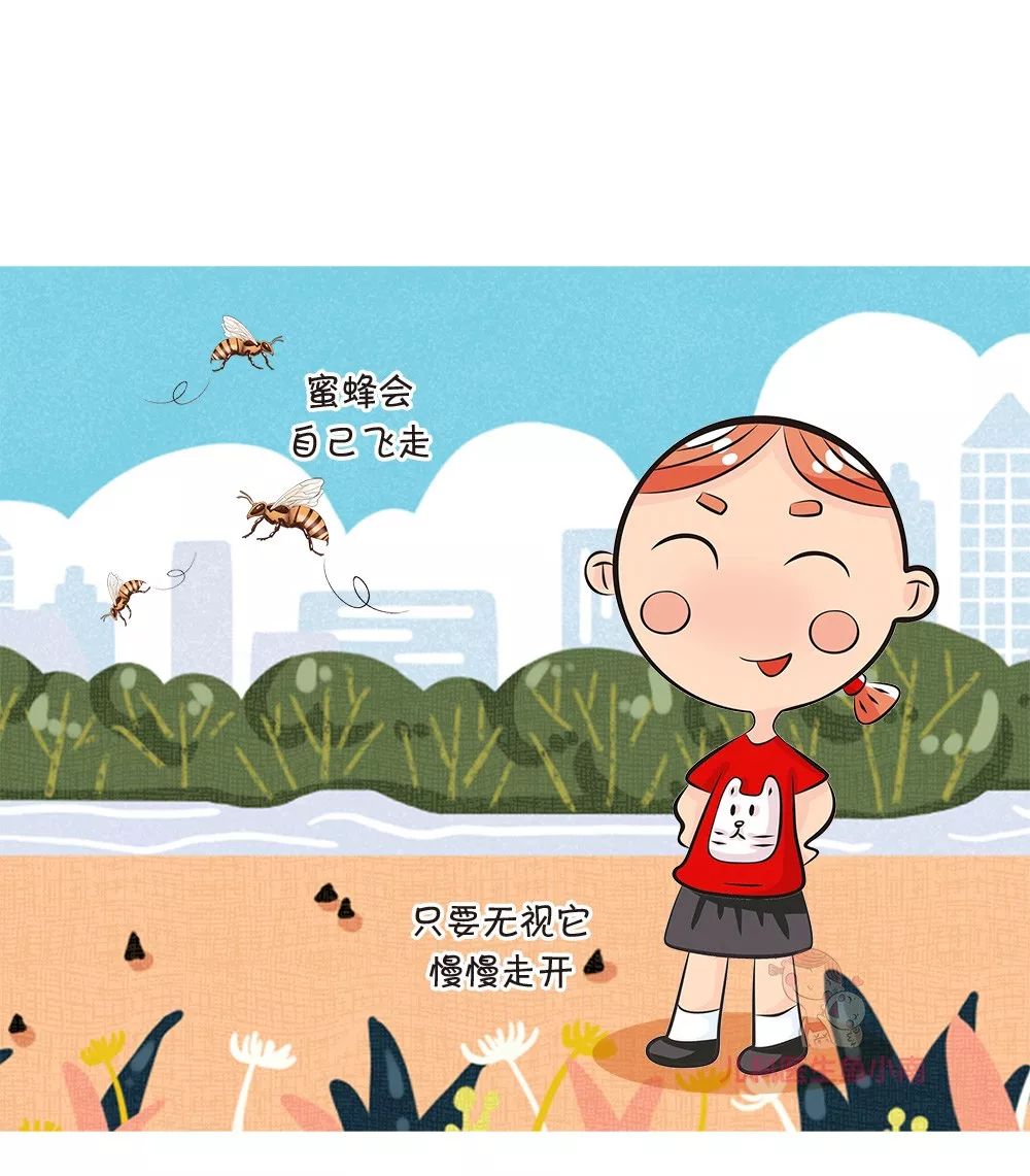 中蜂被蛰了有什么危害,秋蜂猛如虎警惕被蜇伤