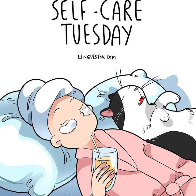 沙雕猫片，笑到床塌！自从做了卑微的铲屎官，比一个人时刺激多了