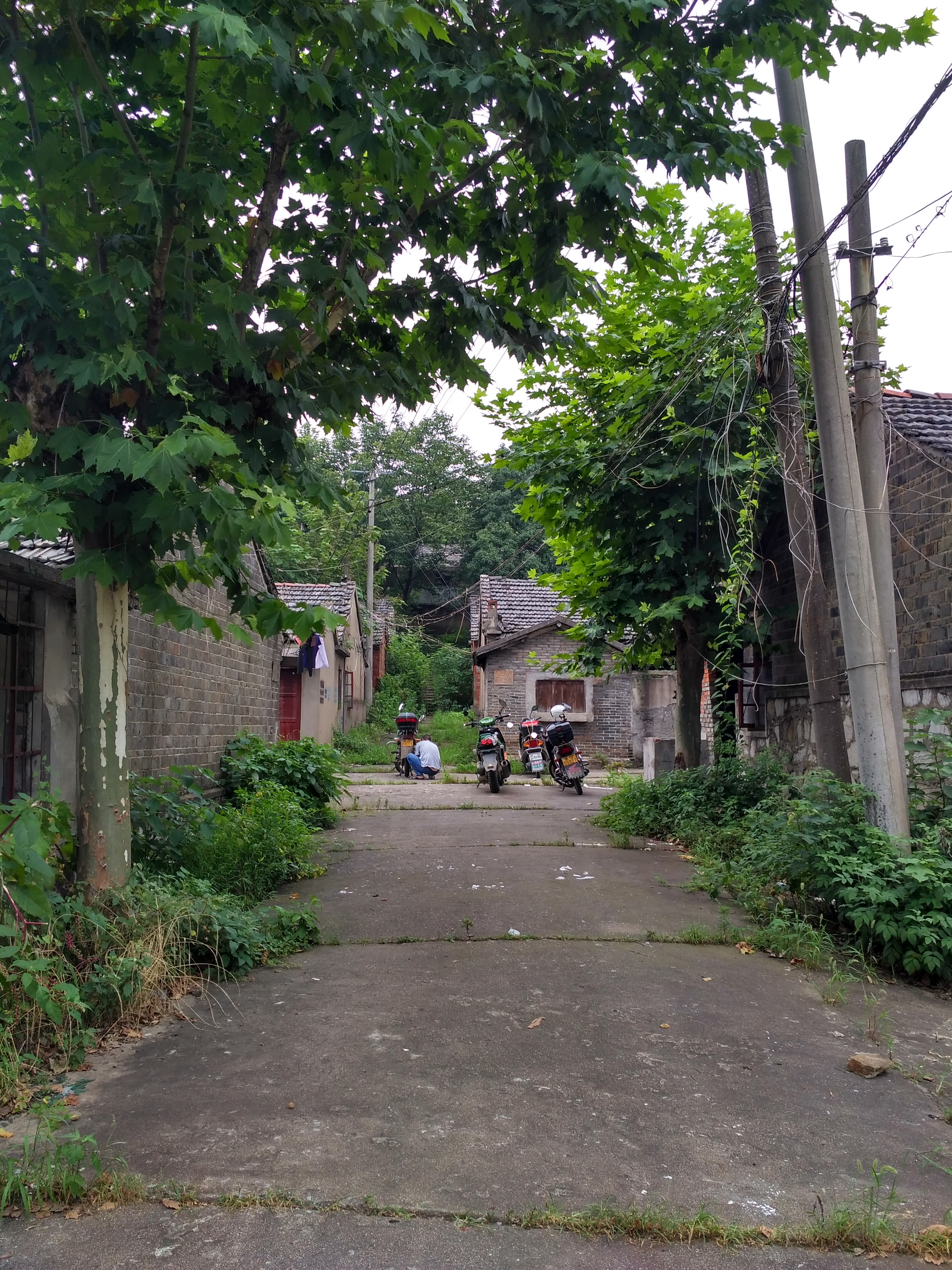 摩友一起骑行的视频,与摩友一起川藏