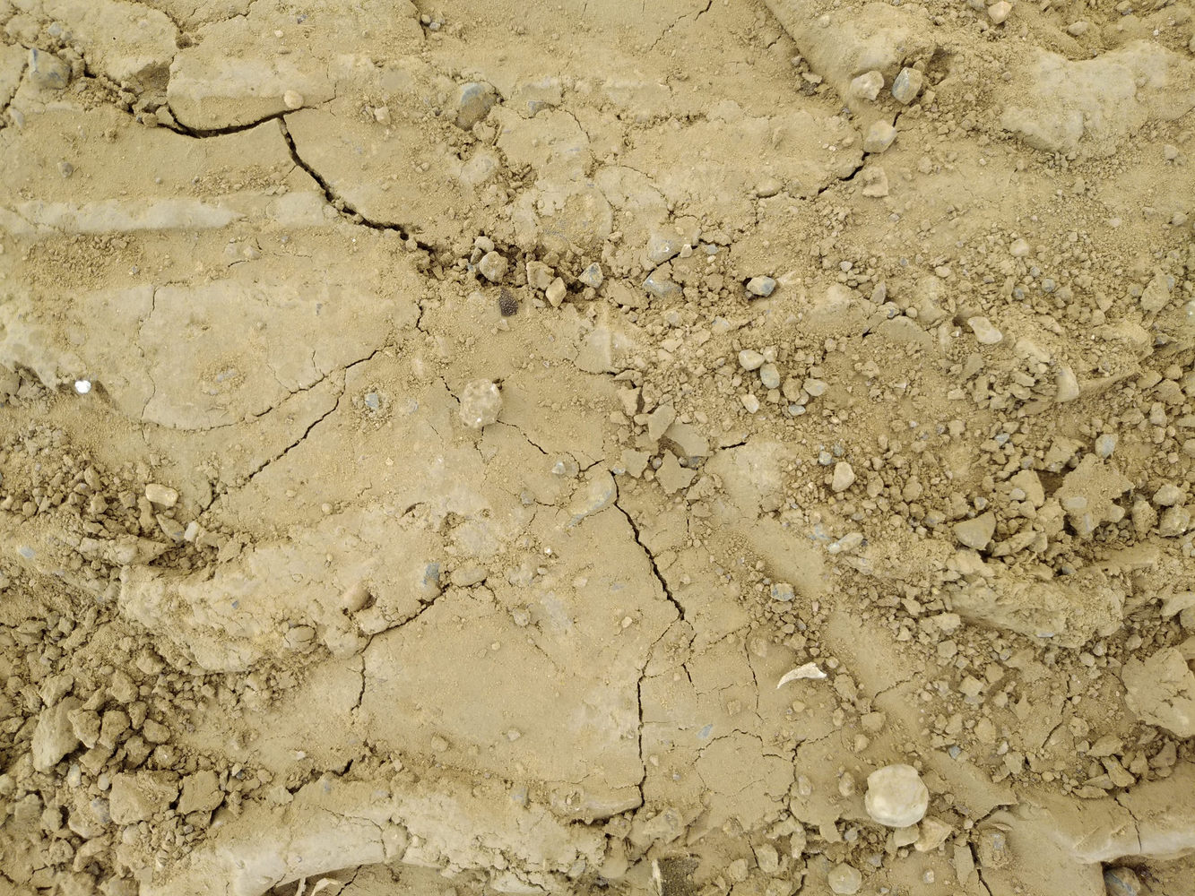 设计师福利模板,设计师必备100件用品