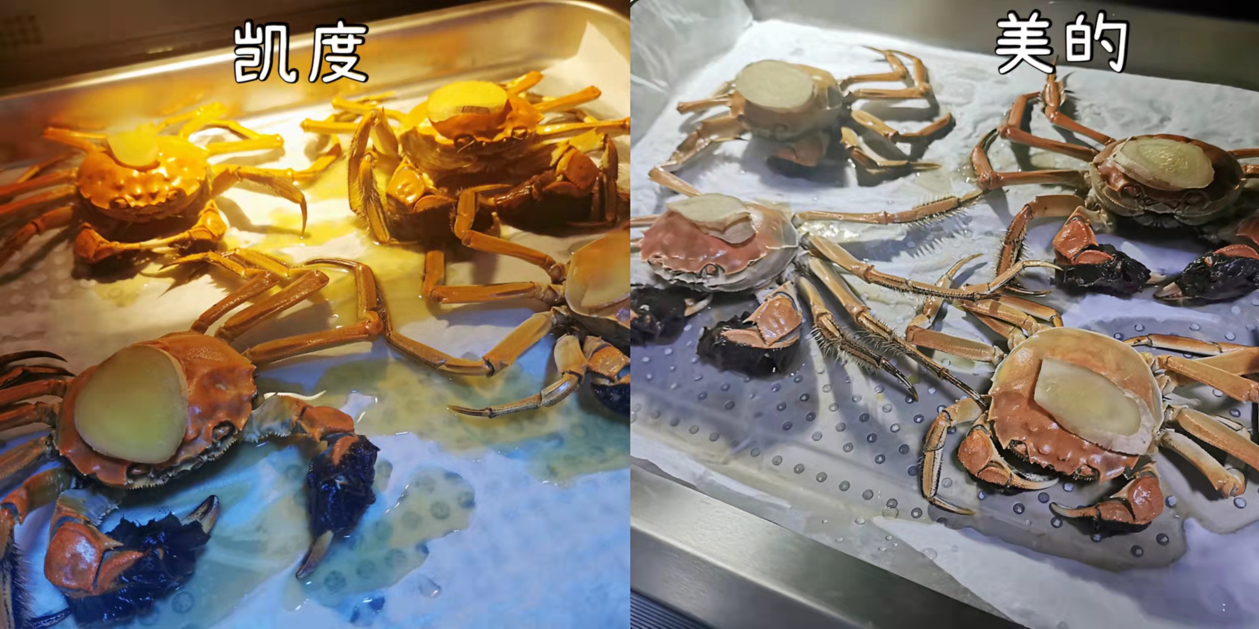 老板蒸烤一体机cq901是搪瓷内胆吗,蒸烤一体机内胆搪瓷好还是陶瓷好