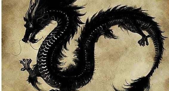 蛇是不是灵性的动物,蛇是灵性的动物