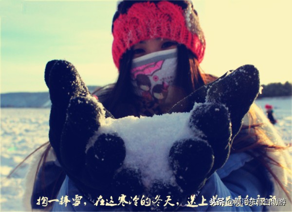 漠河极寒之旅,漠河遇到熊