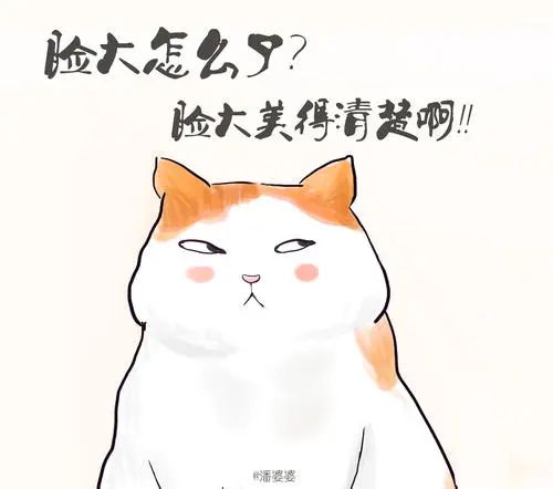 脸大的女生怎么补救,觉得自己脸大很丑很自卑怎么办