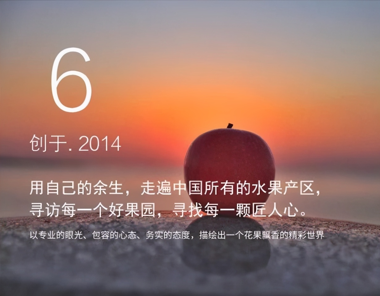 四大优势是哪些,四大优点是什么