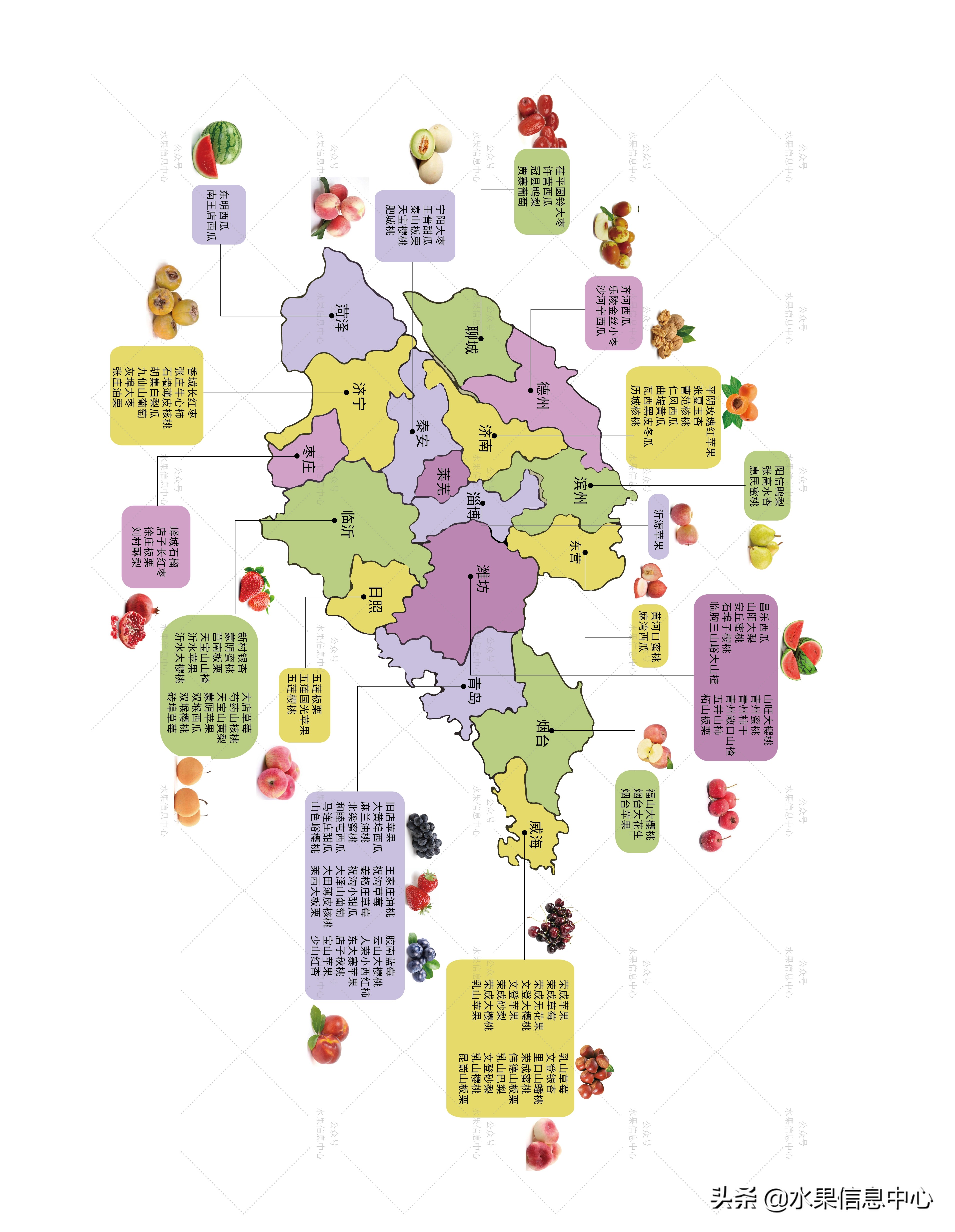 水果第一大省---山东水果地图