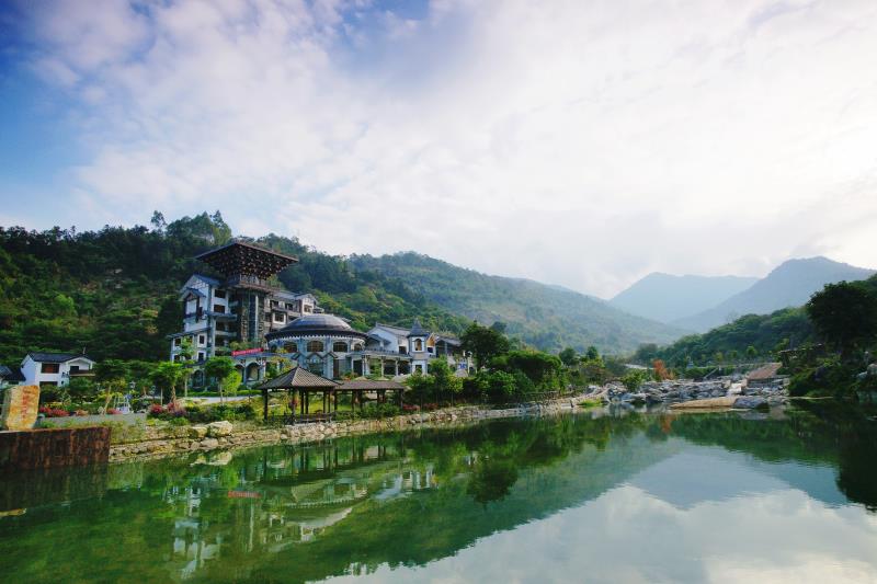 广东开平天露山梅花,广州新兴天露山梅花