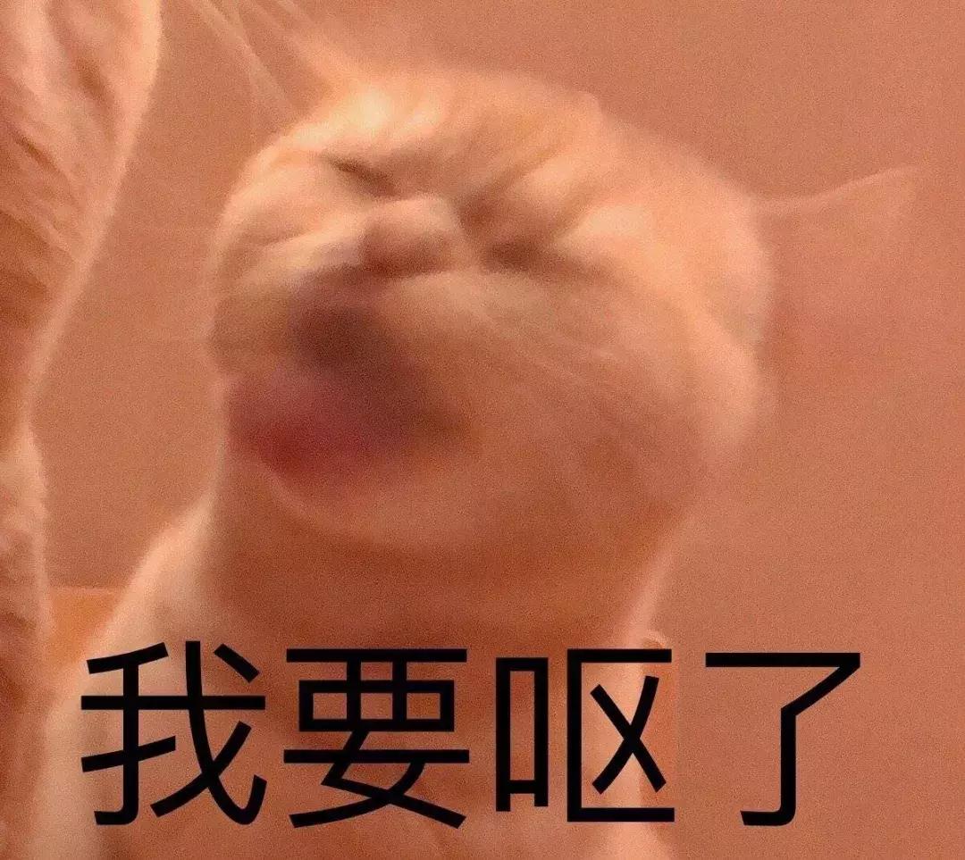 美妆博主踩过的雷品大揭秘,美妆雷品大吐槽