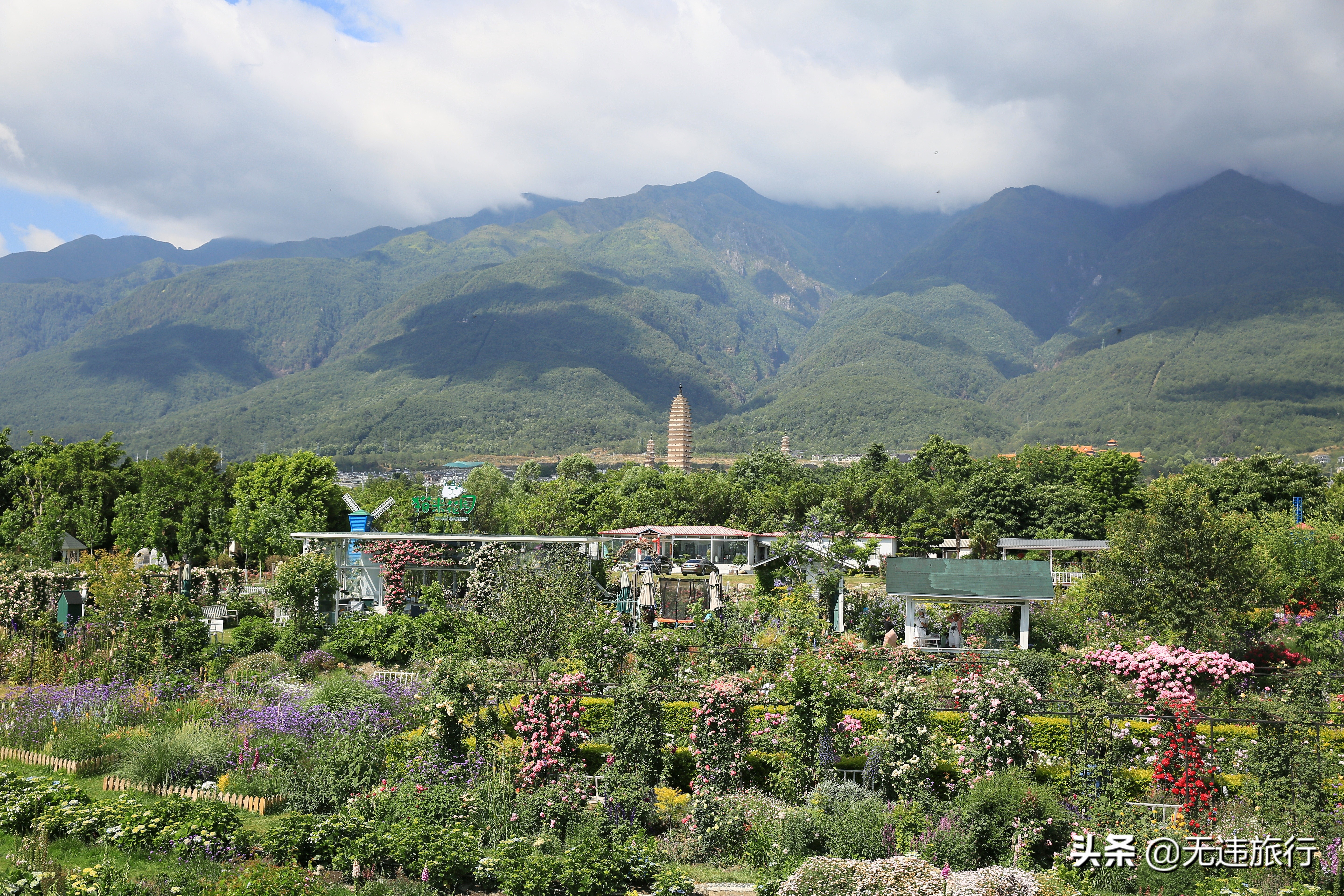 大理网红打卡地草场,大理网红打卡地猫米花园