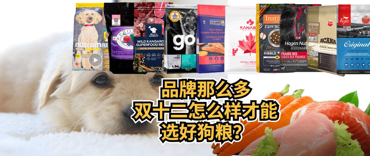 中型狗粮怎么选购好的品牌,双12怎么买狗粮便宜