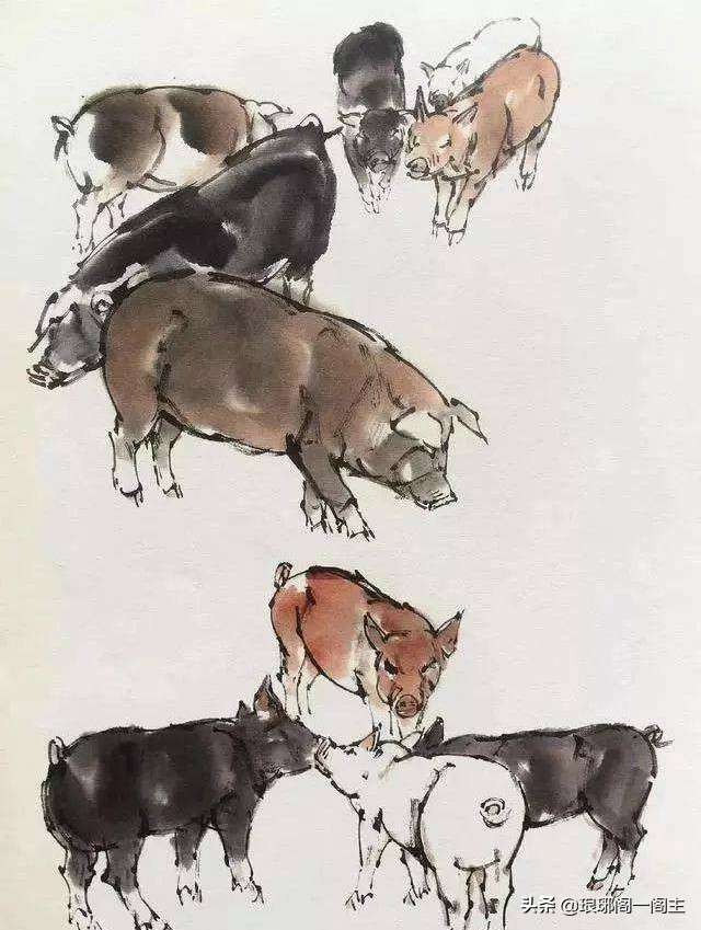 十二生肖猪的由来,十二生肖的猪和鸡合吗