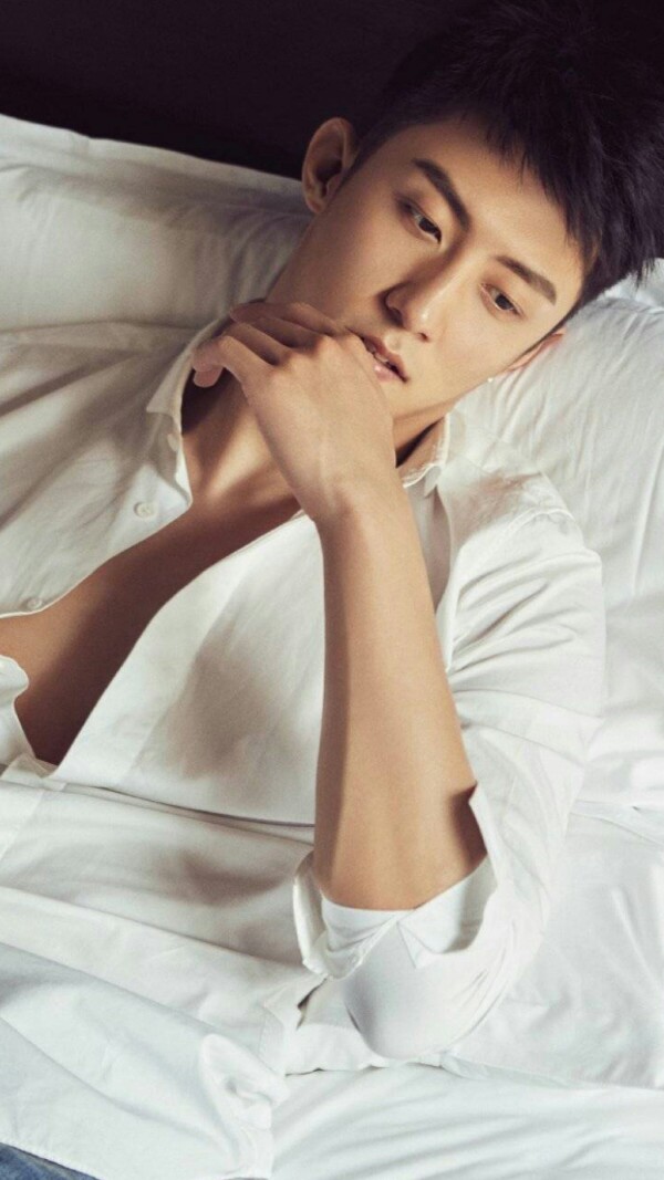 魅力十足十大男星,10位辽宁与四川的男星对比