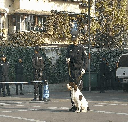 警犬发现百香果里藏毒,百香果藏毒被警犬发现