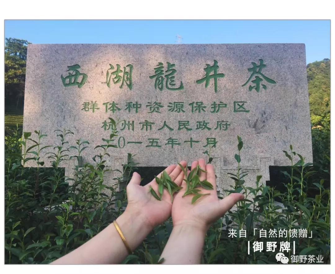 2018龙井新茶价格,御牌西湖龙井茶礼盒价格2020新茶