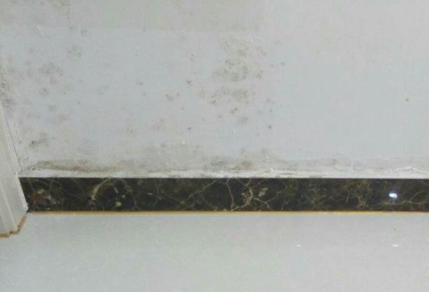 墙面发霉起泡怎么处理,墙壁发霉起皮严重怎么办最快处理