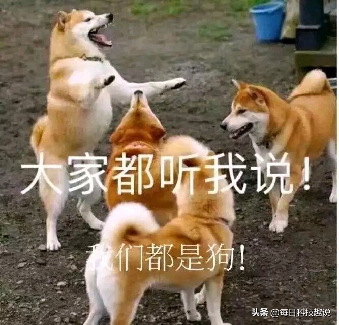 百度网盘下载慢可以用迅雷下载吗,百度网盘和迅雷下载慢怎么办