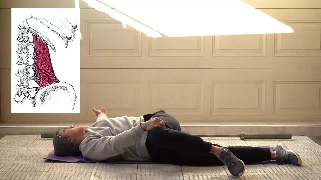 什么动作拉伸腰部,缓解腰部疼痛的拉伸