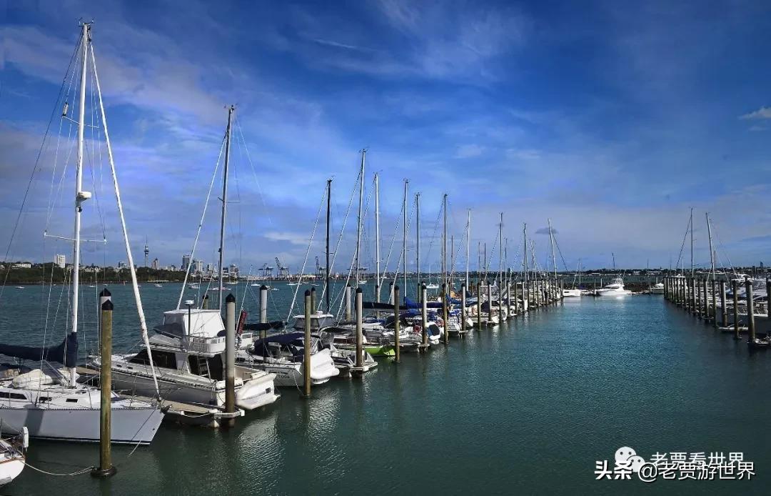 新西兰的五个漂亮的地方,新西兰最好的五大城市