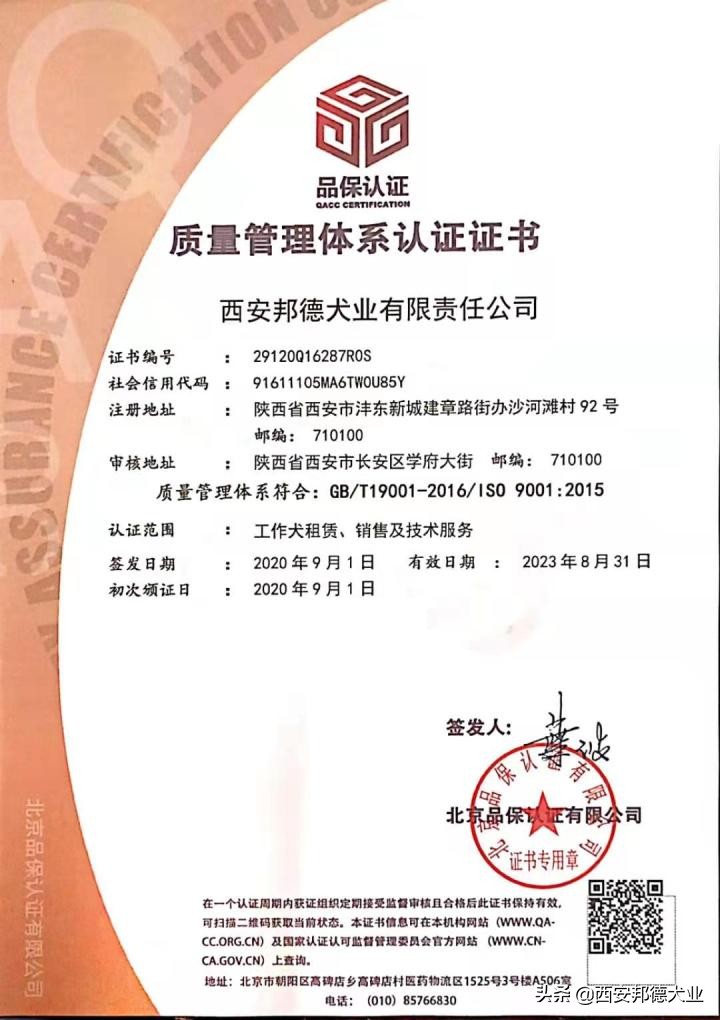 宠物训练学园,宠物训练营学校