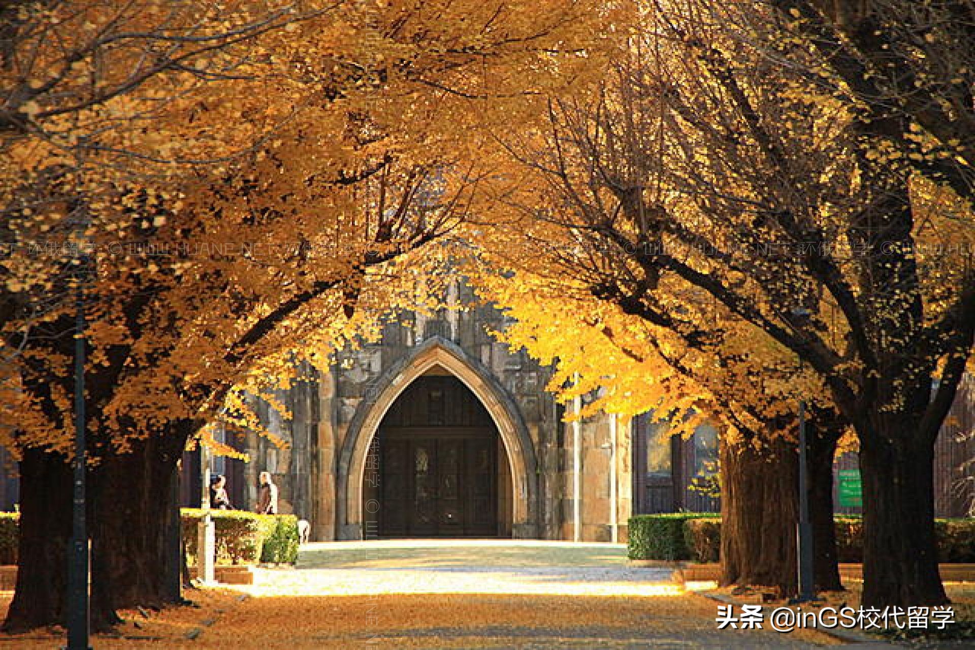 这5所大学值得报考,这五所大学实力超群