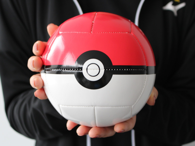 精灵宝可梦皮卡丘玩球,精灵宝可梦皮卡丘进精灵球