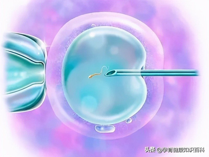 试管婴儿助孕不成功,试管婴儿辅助治疗