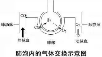 医院用语有哪些,医院的各种简称有哪些