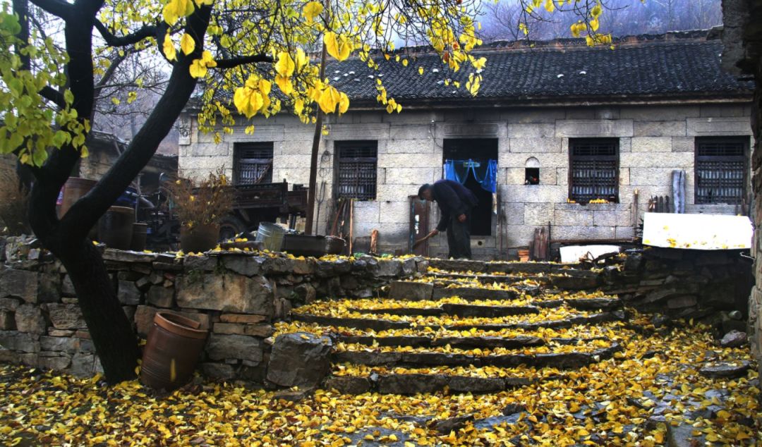 骄傲中国田径第一冠,中国骄傲一等奖视频