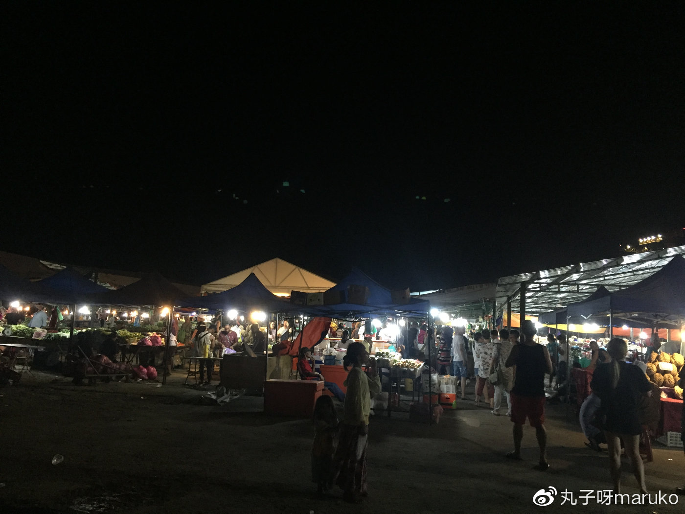 马来西亚槟城三天自助游求攻略,11月末马来西亚槟城旅游攻略