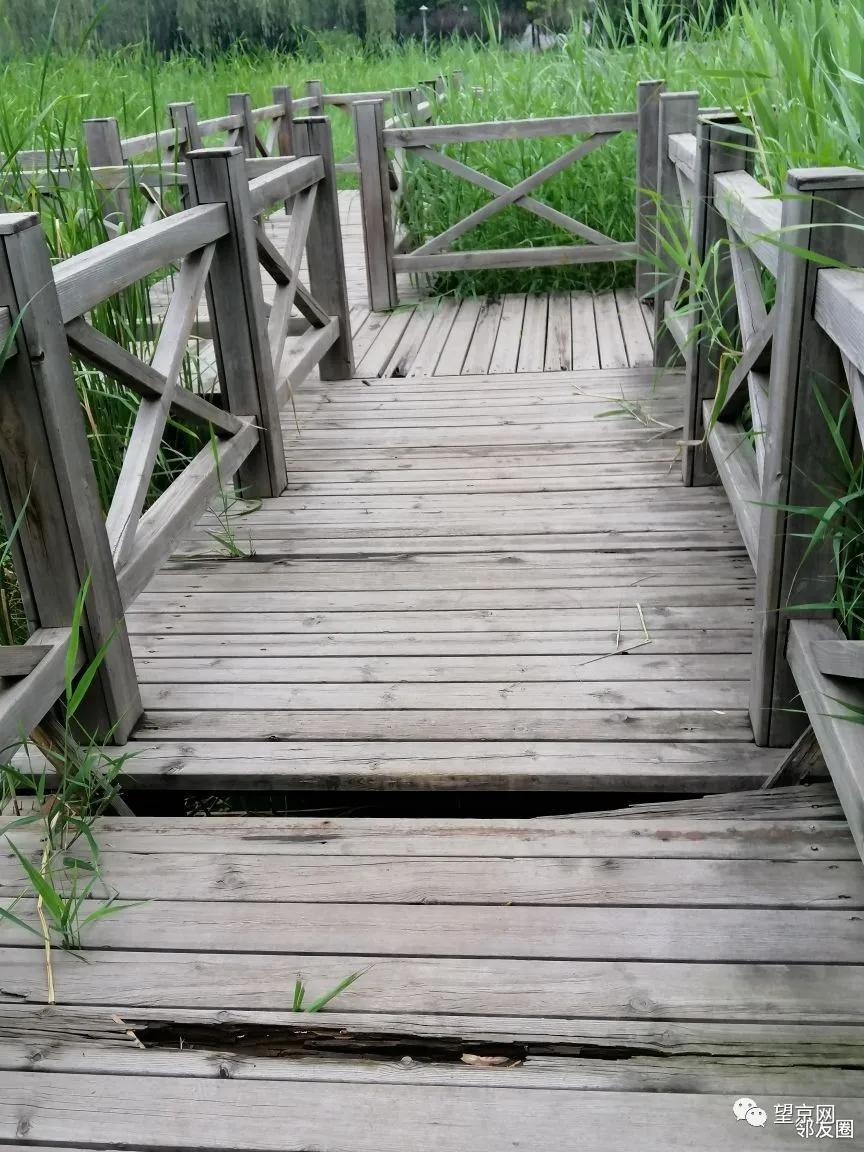 「今日望京」望湖公园这里太危险！望京小街最新实拍来了