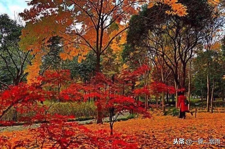 美丽的水乡周庄完整版,美丽的江南水乡充满诗情画意