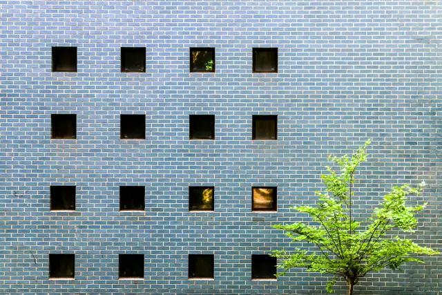 神仙颜值学校,神仙颜值校园