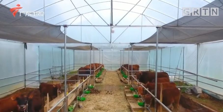 肇庆各区县人均可支配收入,肇庆近十年人均可支配收入