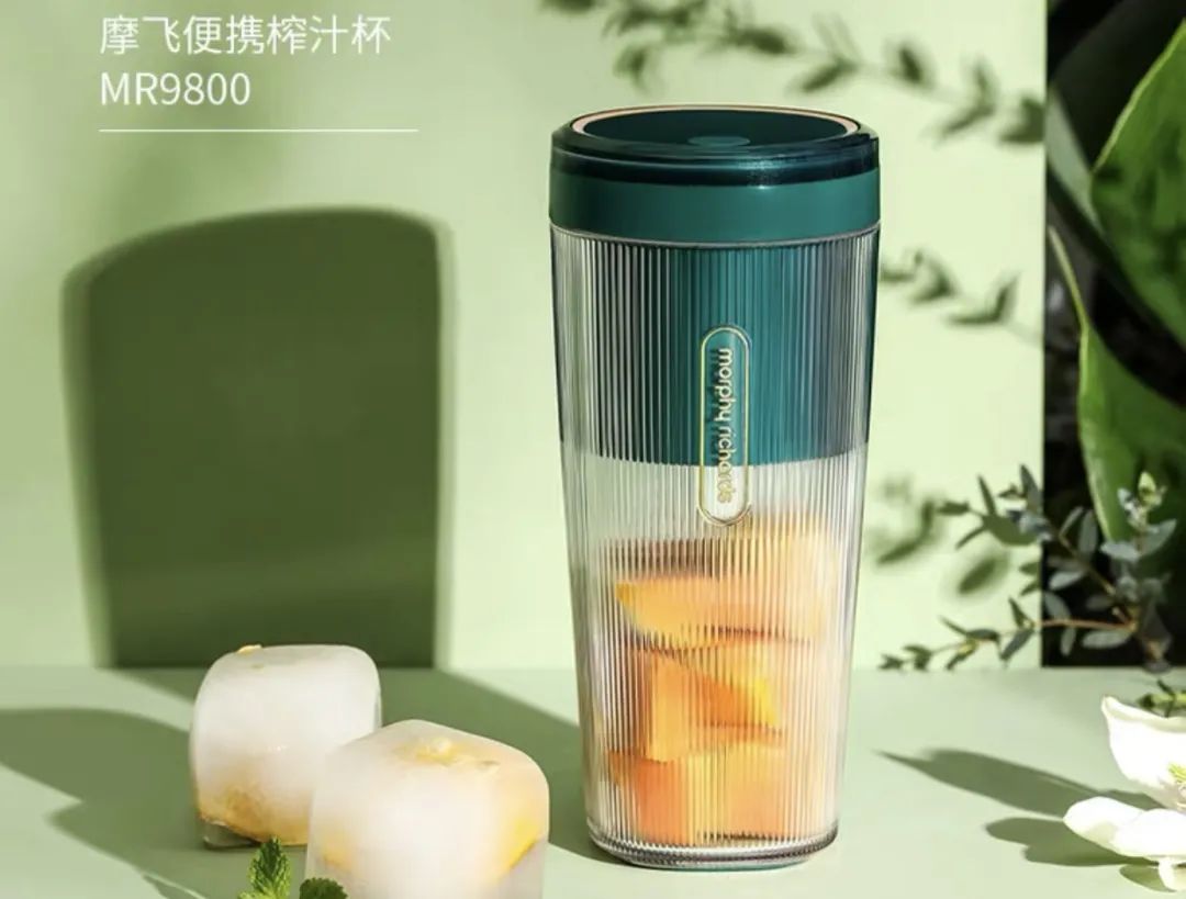 摩飞vs小熊,摩飞与小熊