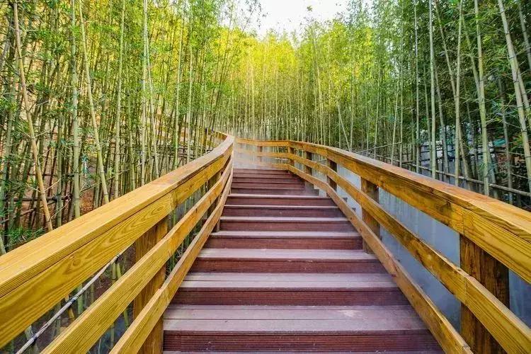 羊台山风景视频大全,深圳羊台山哪里风景最好