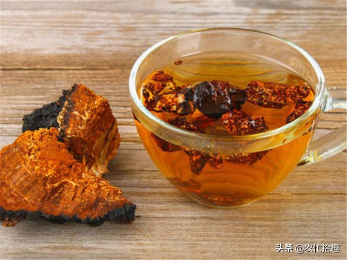 上万棵树才长一个，常有人去找寻，泡水受喜爱，俗称“桦树泪”