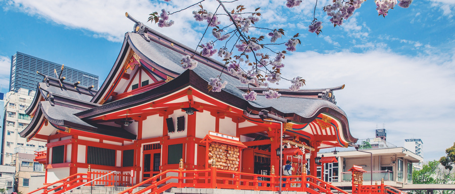 日本跨境电商平台有哪些?四大知名平台,助你实现跨境大卖之旅