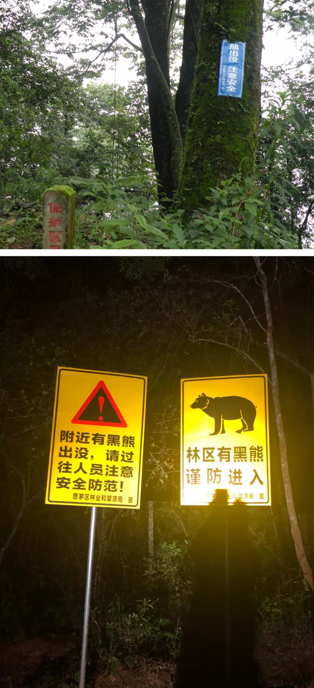 徒步云南虫谷,云南虫谷经典