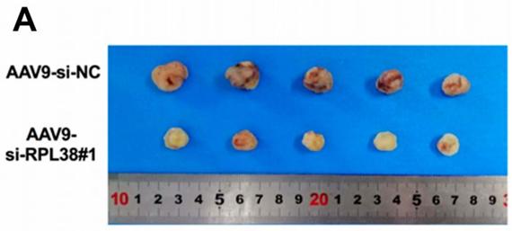 有关中医sci的论文选题,sci论文发表评价