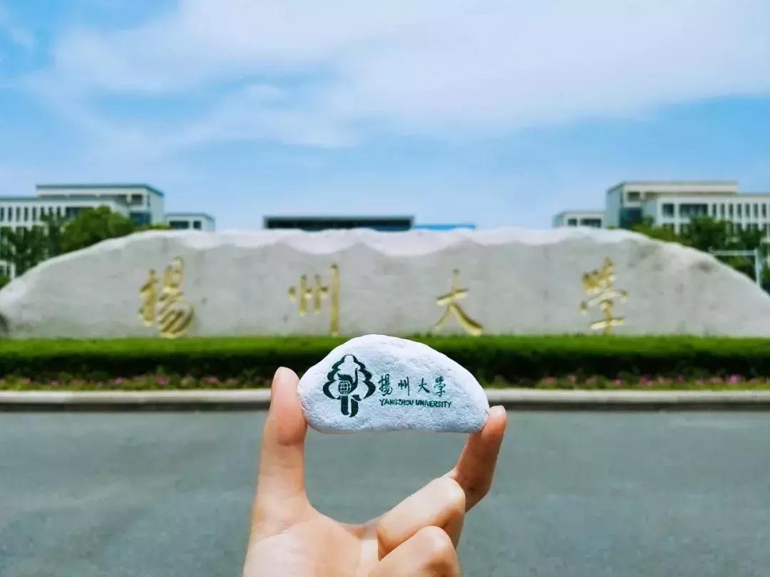 扬州大学2023年研究生招生简章,扬州大学硕士研究生学费