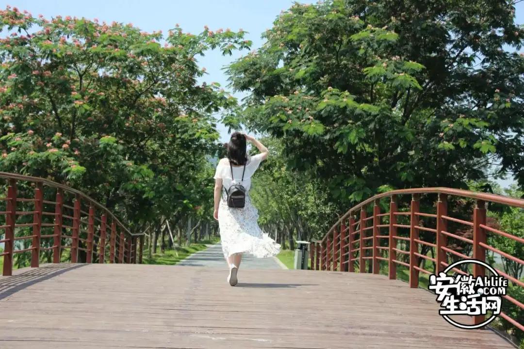 合肥春节免费景点一览表,合肥网红免费打卡景点